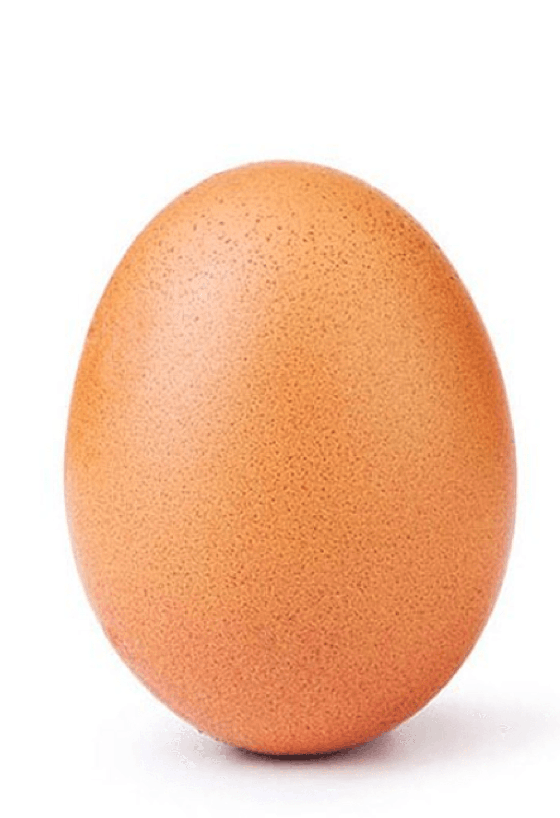 The World Record Egg in three states: whole, cracked with black tar, fully pixelated.